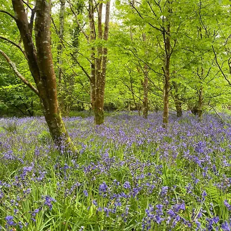 Glanleam's Gardener's *