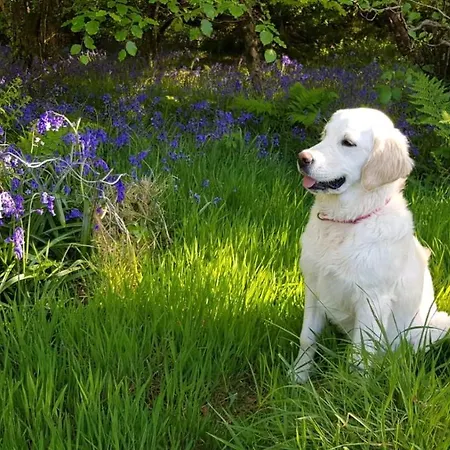 Glanleam's Gardener's *
